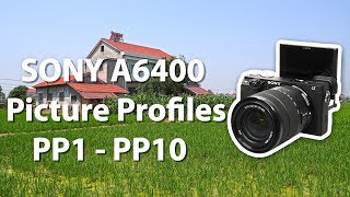 Sony A6400 picture profiles Slog PP1- PP10 original profiles output without adjustment testing