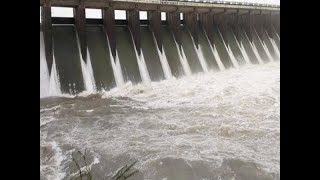 Rajkot: Bhadar dam has reached 95% capacity