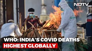 India's Covid Deaths Highest In World: WHO Report