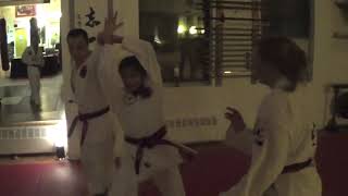 Hapkido 4am Spin Training