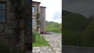 UWC Dilijan College | Dilijan Armenia | shorts #16