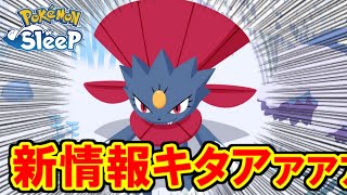 マニューラが来週にはもう来るらしい。【ポケモンスリープ】