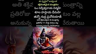 ఈ సృష్టిలో అత్యంత శక్తివంతమైన రుద్ర మంత్రం #mantra #rudradevotional #motivation  #powerfulstotram 🙏🏼