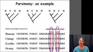 Parsimony