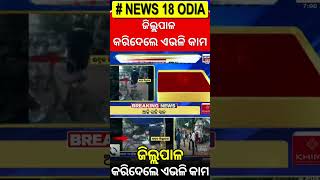 Bhadrak : ଚାଷୀ ବେଶରେ ମଣ୍ଡି ତନଖି କଲେ ଜିଲ୍ଲପାଳ | Bhadrak Collector News | Farmers Complaint |Odia News