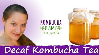 How to Make Caffeine Free Tea at Home by Hannah Crum of Kombucha Kamp