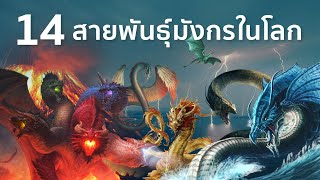 14 มังกรในตำนาน รู้จักแบบไหนกันบ้าง