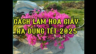 -Ngày 30/11 Âm lịch sử lý, Làm bông hoa giấy ra đúng dịp Tết 2025. Phần 1