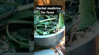 Cooking Up Herbal Remedies for Fever