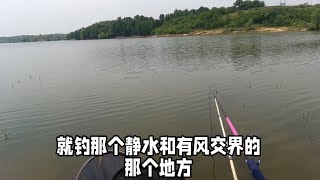 中午鱼起伏不好钓，结果鲫鱼连杆，野钓实用技巧