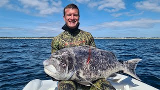 Spearfishing my PB Poenskop 20,7kg (Black Musselcracker)