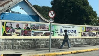 “Lucea: The Heart of Jamaica Where Sewell’s Journey Began ❤️”