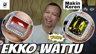 ADA HARGA ADA RUPA ❗Akik dan Permata Unik Update ke Next Level ( Ekko Wattu )