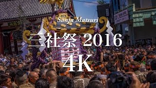 [4K] 三社祭 2016 Sanja Matsuri