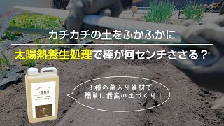 太陽熱養生処理でカチカチの土をふかふかに／3種の菌資材「三菌無双」で簡単に成功【家庭菜園】【野菜づくり】【初心者】