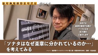 【なりみちのひとりごと】#116 「ソナタはなぜ楽章に分かれているのか…を考えてみる」＃おまけあり　＃無伴奏ヴァイオリン　＃浜離宮朝日ホール　#視覚障がい　#violin