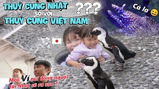 🇻🇳🇯🇵 1 ngày đi Thuỷ Cung Nhật cùng Mẹ con Misaki chằn lll Misakien family