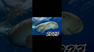 2023 dugong 💫✨ vs 5000 bce dugong 💥💀 #viral #shorts