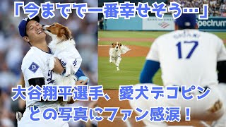 大谷翔平、愛犬との4K写真に210万超えの反響！デコピン肉球もくっきり！