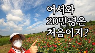 더 유명해지기 전에 꼭 가봐야 할 그 곳 | 성당포구 바람개비마을 + 닭볽음탕(Ep7) | a small train trip to Pinwheel Village