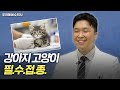 반려동물 필수접종 간편정리! [우리동네수의사]