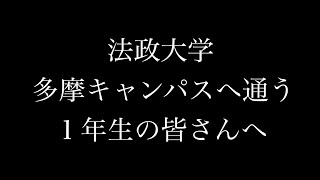 【マネージャー・トレーナー募集】ともに日本一の景色を見ませんか？