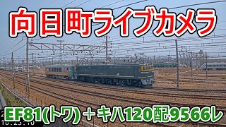 【向日町ライブカメラ】EF81トワイライト色＋キハ120配9566レ