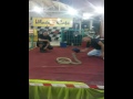 Pawang ulaq (bro zam king cobra malaysia)