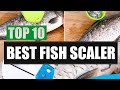 Top 10 Best Fish Scaler