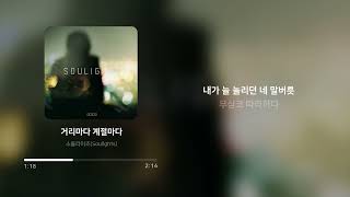 소울라이츠(Soulights) - 거리마다 계절마다