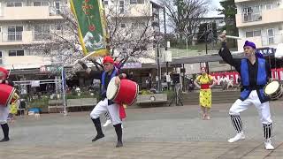 鶴川エイサーよさこい祭り'22 午前  東京中野区 新風エイサー 3-3