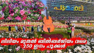 250 Varieties of Flowers at Pooppoli Ambalaval Wayanad Kerala