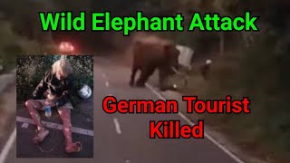 Wild Elephant Attack | German Tourist Michael Killed | @cinemax7154