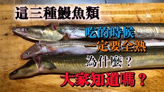 【三種鰻魚類】在日本從夏天才開始季節　但不能生食因為很危險一定要全熟　這個意思大家知道嗎？