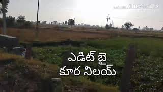 Lolam village video 🌾🌾🌅