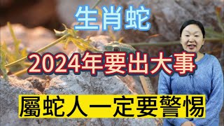 生肖蛇！2024【龍年】要出大事？生肖屬蛇人一定要警惕！#生肖 #運勢 #佛教 #財運