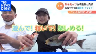 マダイ1匹でスイーツ？イサキ7匹で露天風呂？釣った魚が“地域通貨”に変わる 新しい遊び方“ツッテ西伊豆”｜TBS NEWS DIG