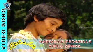 Swayamvaram Movie ||  Harivillu Podarillu Video songs || Shobhan Babu || VR Entertainments