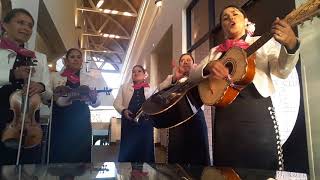 ADIOS AMOR | Mariachi Lindas Mexicanas