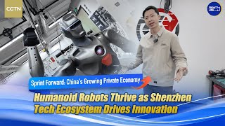 The Future is Here: The Rise of Humanoid #Robots in #China