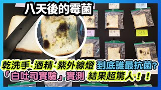 「白吐司實驗」誰最抗菌？結果超驚人！乾洗手、酒精、紫外線燈沒想到鍵盤竟然...@30lead