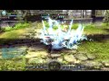 seleana vs destroyer dragon nest pvp bluedn