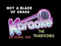 DJ 1163 THE TRADEWINDS   NOT A BLADE OF GRASS DEMO (LYRICS)