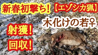 新春初撃ち【エゾシカ猟】木化けの若♀　射獲！回収！