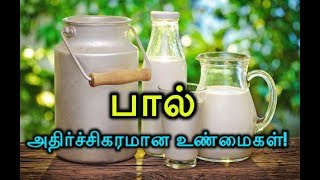 பால் : அதிர்ச்சிகரமான உண்மைகள்! Pal Athirchikaramana Unmaikal