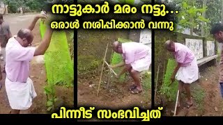 നാട്ടുകാർ റോഡരികിൽ നട്ട വൃക്ഷത്തൈ നശിപ്പിക്കാൻ വന്നയാളെക്കൊണ്ട് നാട്ടുകാർ ചെയ്യിച്ചത്