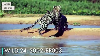 Wild 24: S02 EP03
