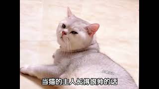 “猫：上辈子都没这么无语过！”