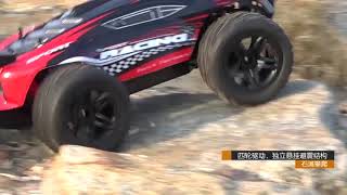 FEO RC 1:10 MZ TRUCK BUGGY