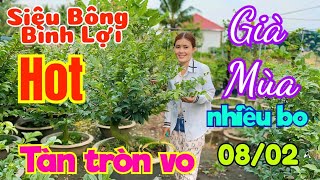 💥 08/02 ☎️ 0344449496 - NGỌC LAN ☎️ Giao lưu lô Siêu bông Lợi già mùa chuẩn hoa siêu đẹp